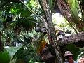 4f-Val de mai JLC_0198